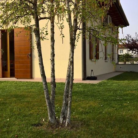 Villa Rossella 포르토 산타 마게리타 디 카오를레 외부 사진